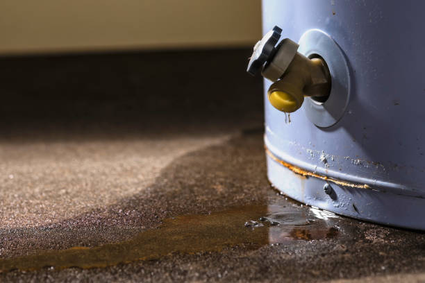 Best Basement water damage restoration  in Sugarmill Woods, FL