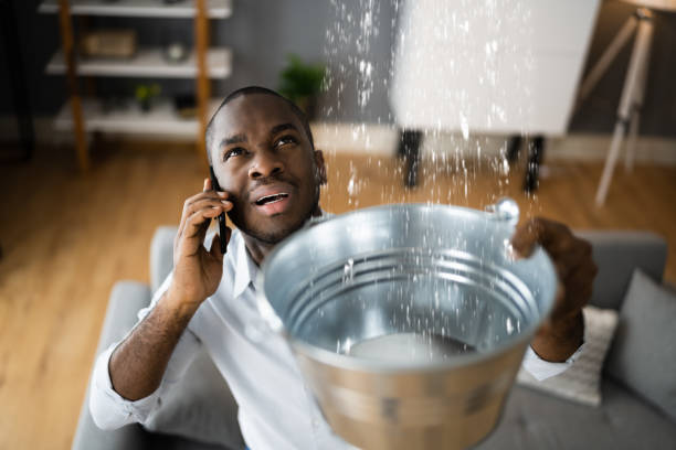 Best 24-hour water damage restoration  in Sugarmill Woods, FL
