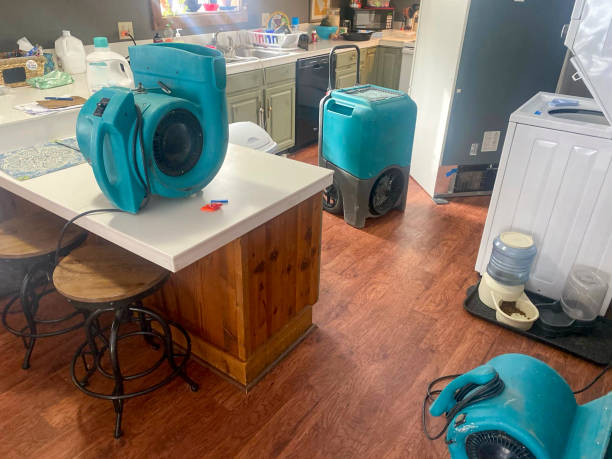 Best Flood damage cleanup  in Sugarmill Woods, FL