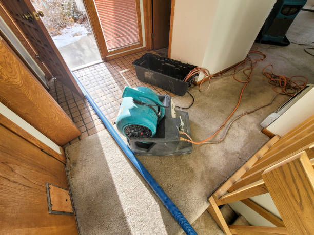 Best Fire Damage Restoration  in Sugarmill Woods, FL