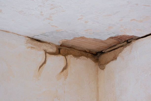 Sugarmill Woods, FL Water damage restoration Pros