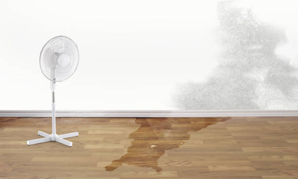Best Commercial water damage restoration  in Sugarmill Woods, FL
