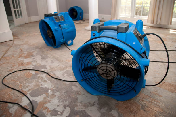 24/7 water damage repair in Sugarmill Woods, FL
