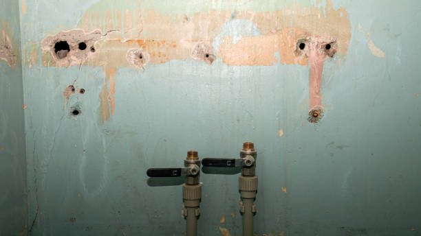 Best Ceiling water damage repair  in Sugarmill Woods, FL