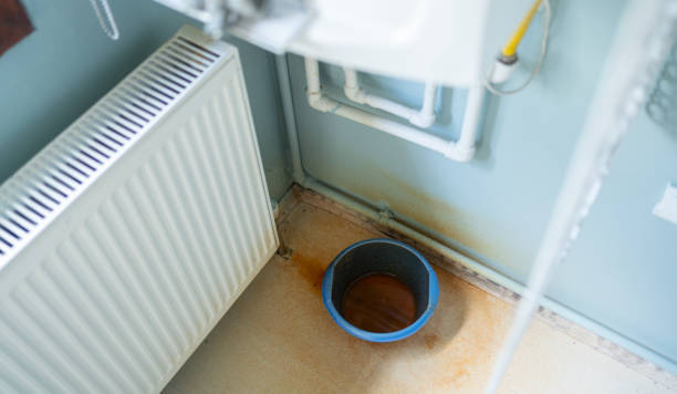 Best Flood restoration services  in Sugarmill Woods, FL