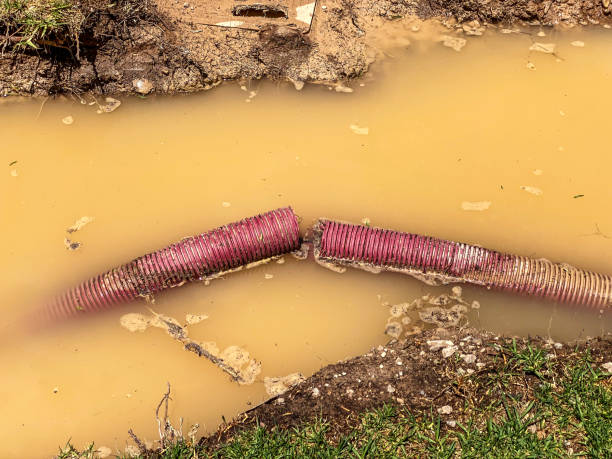 Best Sewage cleanup and water damage restoration  in Sugarmill Woods, FL