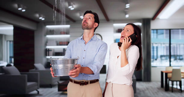Best Residential water damage restoration  in Sugarmill Woods, FL